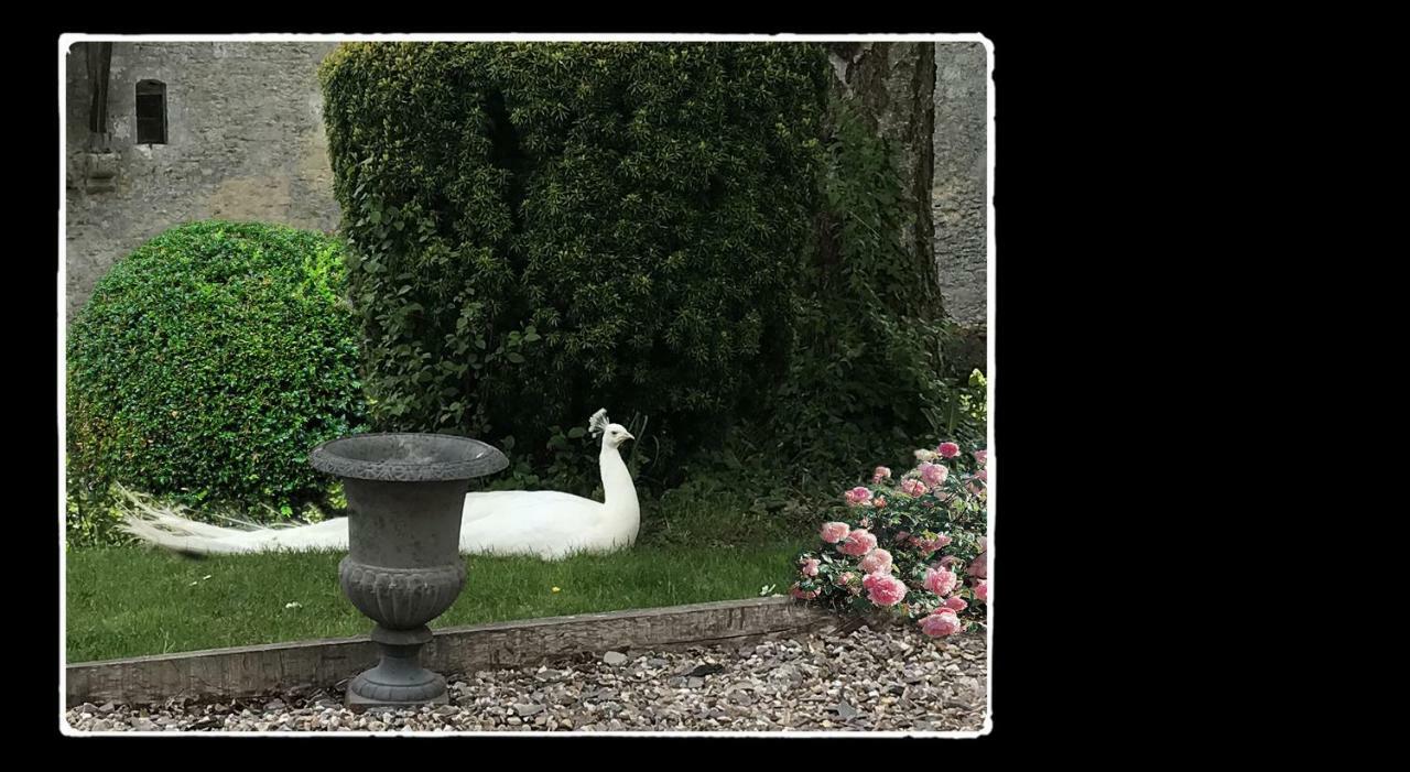 Manoir De Livet Panzió Saint-Germain-de-Livet Kültér fotó